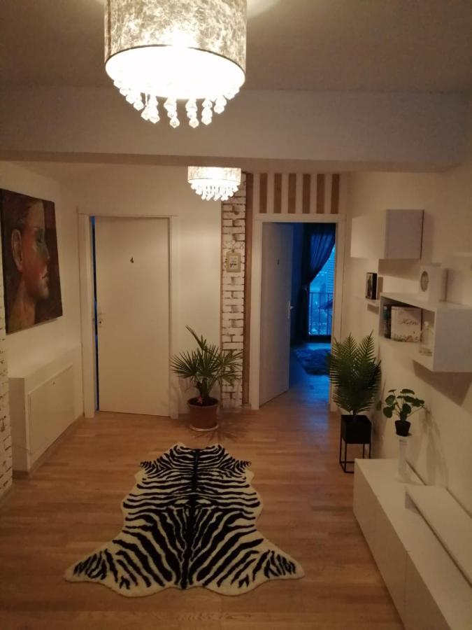Pensiunea Timis Borşa المظهر الخارجي الصورة