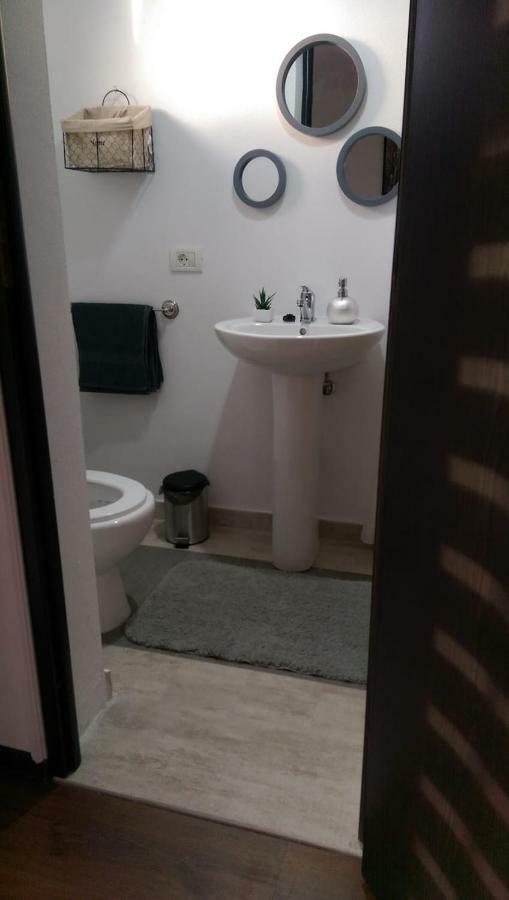 Pensiunea Timis Borşa المظهر الخارجي الصورة